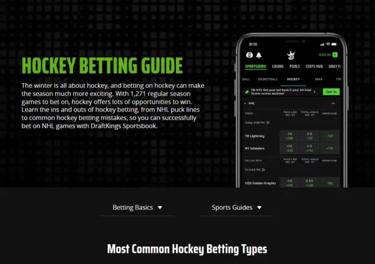 NHL Betting in Florida different types